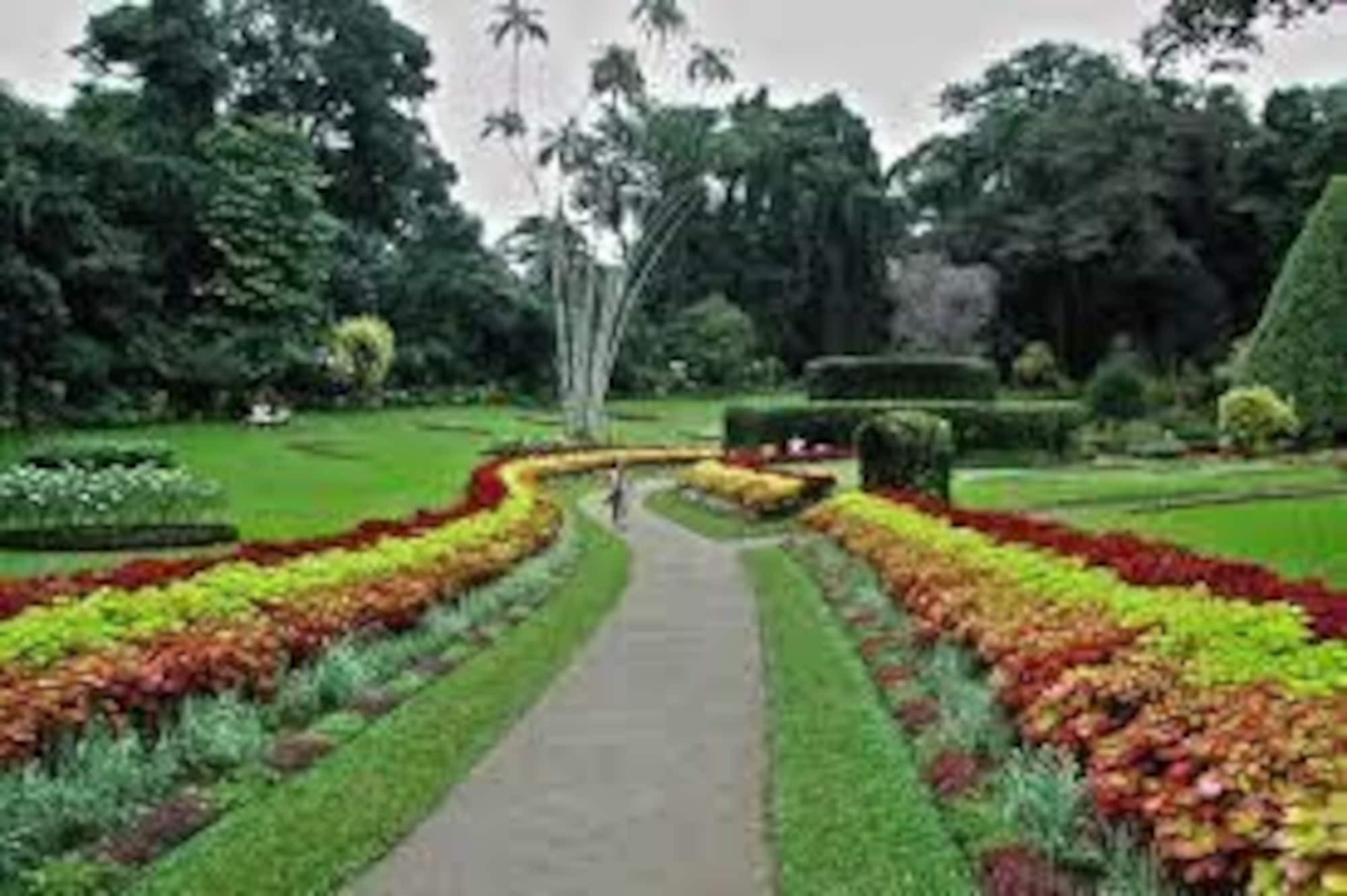 Casablanka Rest Guest House Nanu Oya Exterior photo